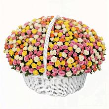 Премиум букет из: Розы в Белице