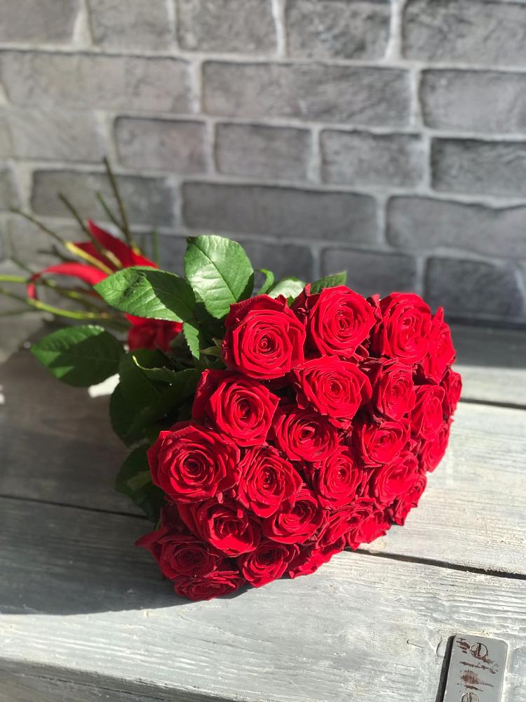 Букет Красные розы Фридом в Белице