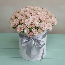 Цветочная композиция из Розы в шляпной коробке #REPLACE_PRED# Белице