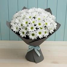 Букет цветов из:  Хризантемы в Белице