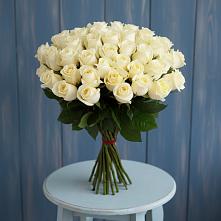 Букет 51 Белая роза Эдлесс Лав #REPLACE_PRED# Белице