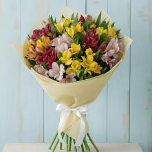 Букет цветов из:  Альстромерии в Белице