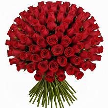 Букет Красные розы Чери Лав в Белице