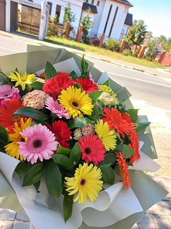 Букет цветов из: Герберы в Белице
