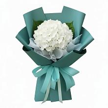 Букет цветов из:  Гортензия в Белице